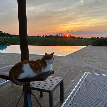 Agriturismo La Rinaldina Faenza Zewnętrze zdjęcie