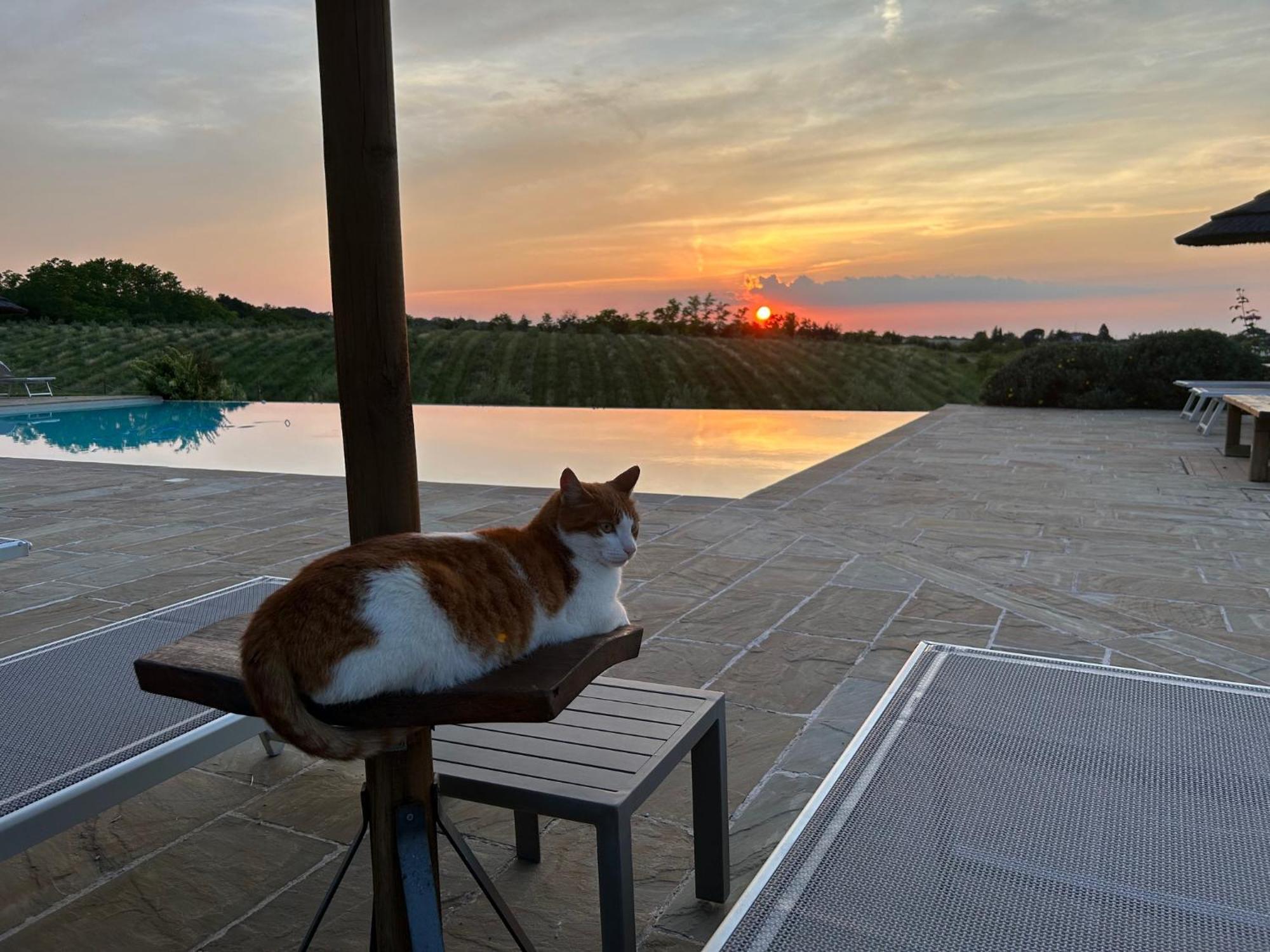 Agriturismo La Rinaldina Faenza Zewnętrze zdjęcie