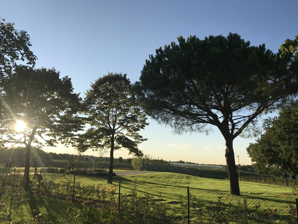 Agriturismo La Rinaldina Faenza Zewnętrze zdjęcie