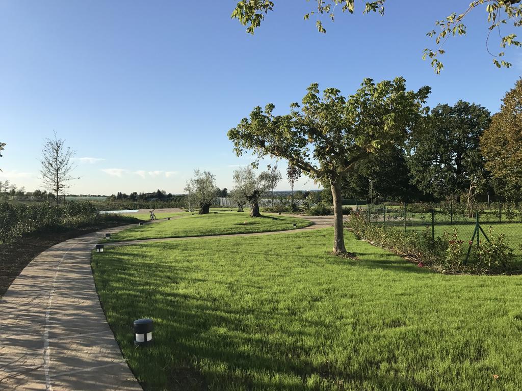 Agriturismo La Rinaldina Faenza Zewnętrze zdjęcie