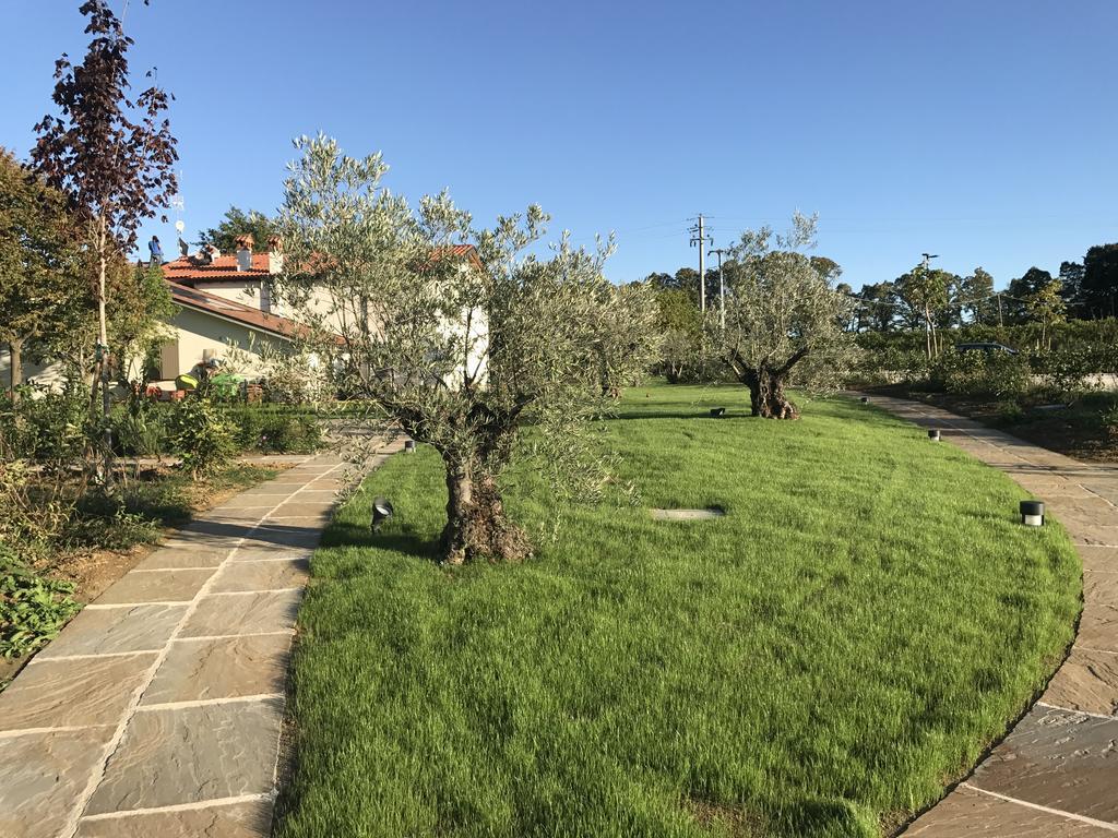 Agriturismo La Rinaldina Faenza Zewnętrze zdjęcie