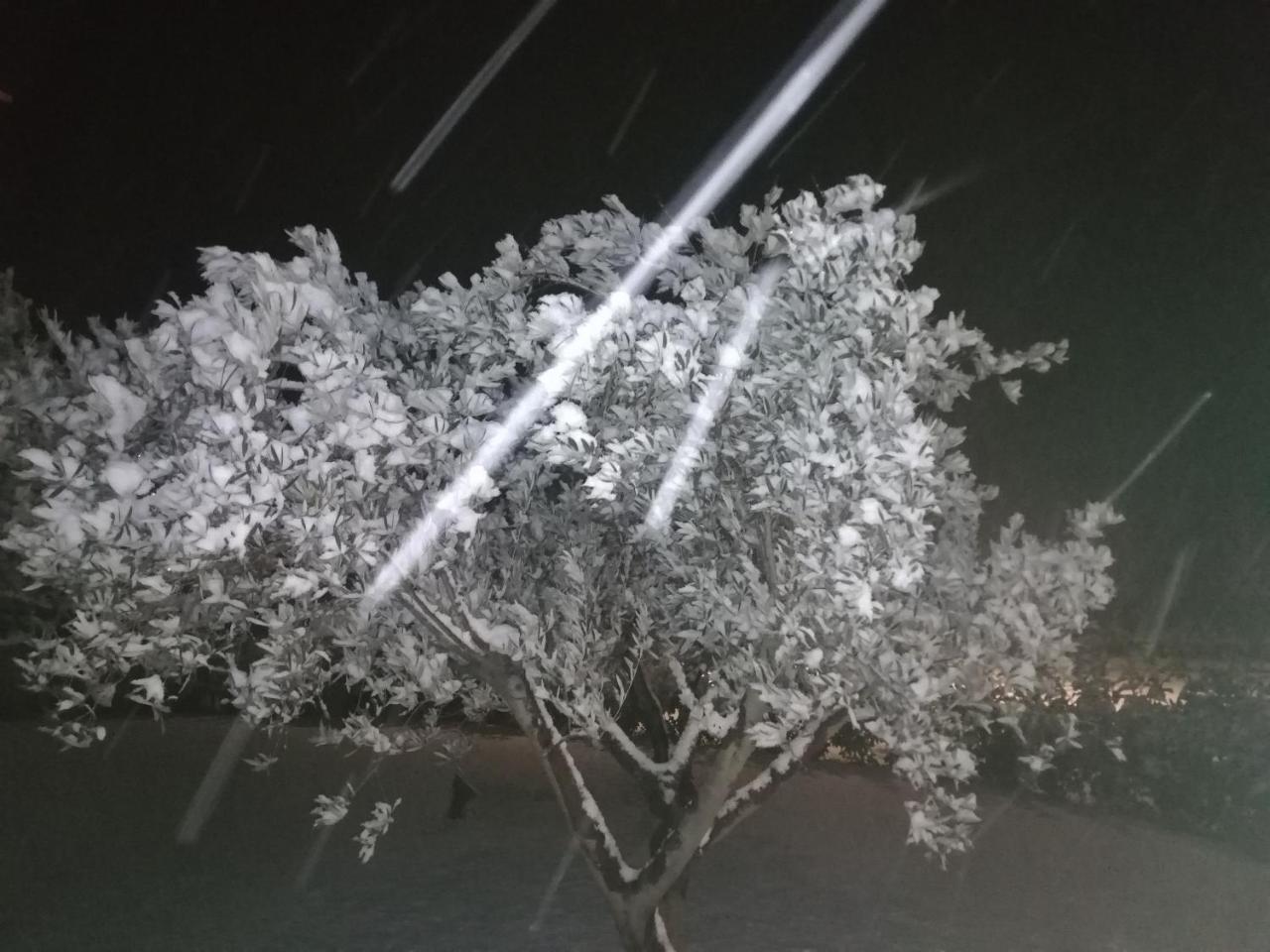 Agriturismo La Rinaldina Faenza Zewnętrze zdjęcie