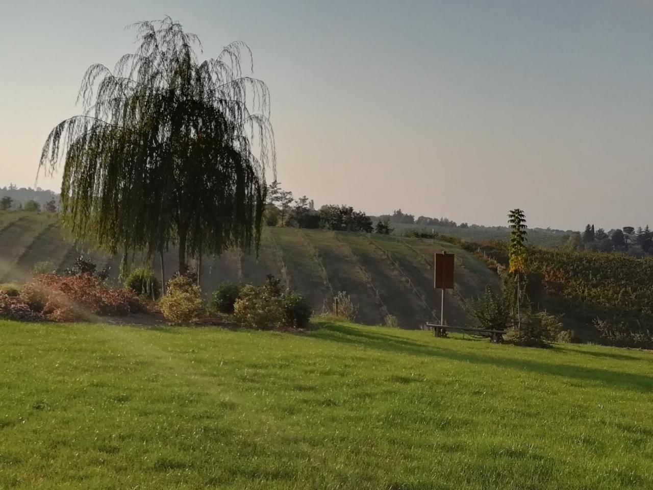 Agriturismo La Rinaldina Faenza Zewnętrze zdjęcie