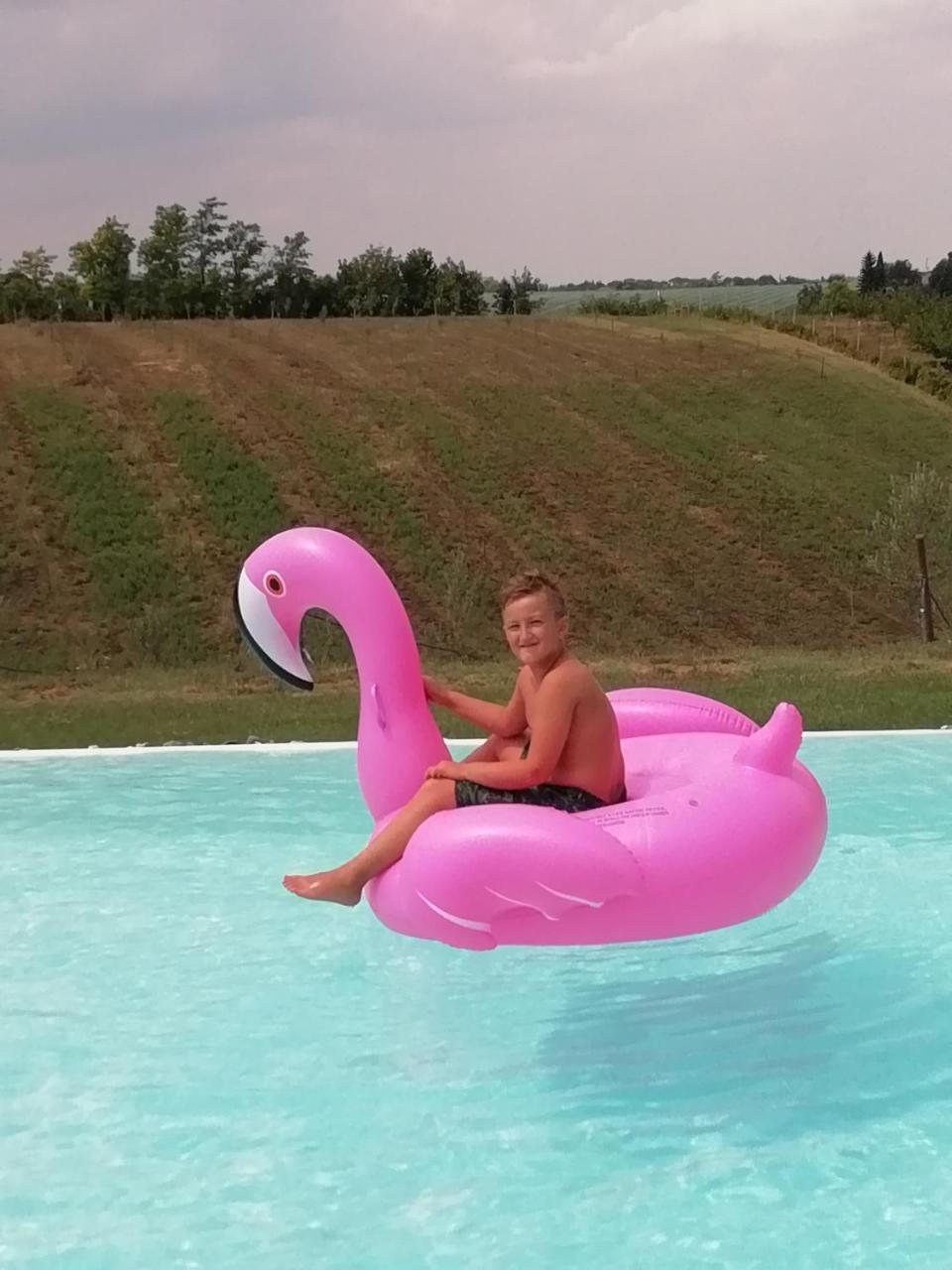 Agriturismo La Rinaldina Faenza Zewnętrze zdjęcie